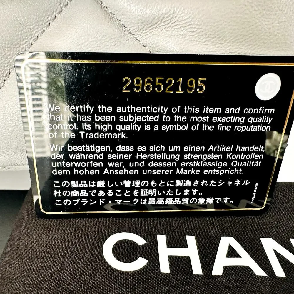 Chanel 19 Goatskin Quilted Medium Flap Purse Grey Tri-Color Chain Full Set & Box